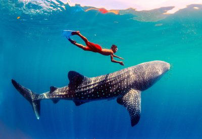 WORLD TRAVEL PLACES TO GO PHILIPPINES